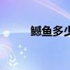 鳡鱼多少钱一斤（鱼多少钱一斤）