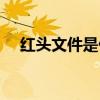 红头文件是什么字体（红头文件是什么）