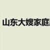 山东大嫂家庭服务有限公司（山东大嫂官网）