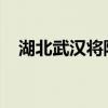 湖北武汉将防汛Ⅳ级应急响应提升至Ⅲ级