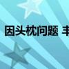 因头枕问题 丰田汽车在美召回11418辆汽车