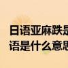 日语亚麻跌是什么意思翻译成中文（亚麻跌日语是什么意思）