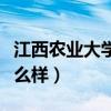 江西农业大学怎么样会留级（江西农业大学怎么样）