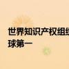 世界知识产权组织：过去十年中国生成式AI专利申请量居全球第一