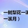 一树梨花一溪月的小说花开淡墨痕（一树梨花一溪月）