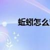 蚯蚓怎么繁殖后代（蚯蚓怎么繁殖）