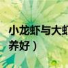 小龙虾与大虾哪个好吃（小龙虾和大虾哪个营养好）
