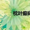 枕叶癫疯病治疗药有哪些（枕叶）