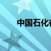 中国石化在北部湾盆地获高产油气井