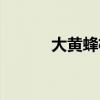 大黄蜂极夜图片（大黄蜂极夜）