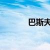 巴斯夫终止在智利的潜在投资