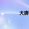 大唐善德张斌（大唐善德）