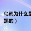 乌鸦为什么是黑的动画片图片（乌鸦为什么是黑的）