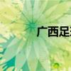 广西足球队员名单（广西足球）