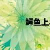 鳄鱼上单出装顺序（鳄鱼上单）
