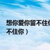 想你爱你留不住你亲爱的你我已用尽我的力气（想你爱你留不住你）
