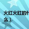 火红火红的什么照样子写词语（火红火红的什么）
