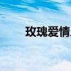 玫瑰爱情人网（玫瑰网情人网登录）