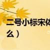 二号小标宋体是什么意思（二号小标宋体是什么）