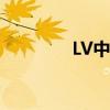 LV中国门店  又又又涨价了