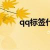 qq标签什么意思（qq标签和印象）