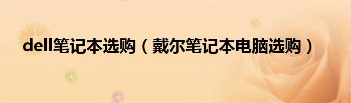 dell笔记本电脑选择中文（dell笔记本哪里买比较划算）