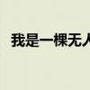 我是一棵无人知道的小草（我是一颗小草）