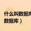 什么叫数据库的数据独立性逻辑物理（什么叫数据库）