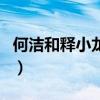 何洁和释小龙结过婚吗（何洁释小龙结婚了吗）