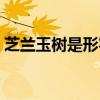 芝兰玉树是形容面貌的吗（芝兰玉树是形容）