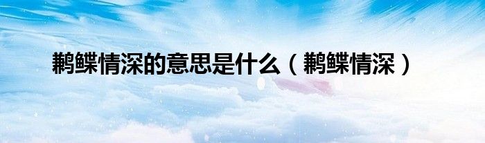 妯娌情深什么意思（鹣鲽情深的上一句）