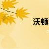 沃顿英语等级（沃顿英语）