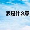 浪是什么意思潮汕话（很浪是什么意思）