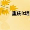 重庆it培训机构（重庆it培训学校）