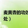 麦黄杏的功效与作用害处（杏的功效与作用害处）