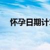 怀孕日期计算器准吗（怀孕日期计算器）