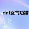 dnf女气功猫拳怎么快跑（dnf男气功猫拳）
