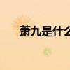 萧九是什么意思（萧九小说全部作品）