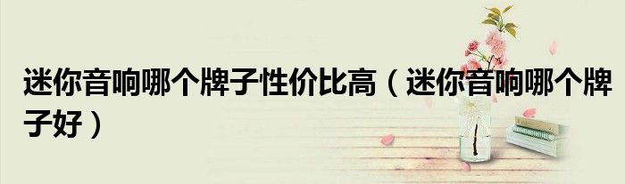 迷你音箱哪个牌子效果最好（迷你音箱哪个好）