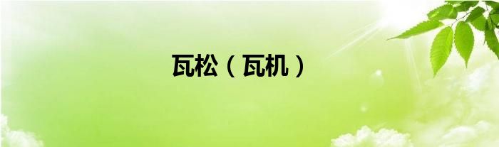 瓦松价格多少钱一斤?功效与作用分析（瓦松是什么东西?）