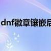 dnf徽章镶嵌后还能取下来吗（dnf徽章镶嵌）