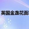 英国金盏花面霜怎么样（英国aa网金盏花膏）