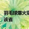 羽毛球爆火堪比掼蛋 超8成生产企业都集中在该省