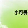 小可爱是啥（小可爱是什么狗）