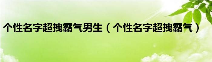 个性昵称男生超拽霸气文字可复制（个性霸气的网名男生）