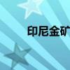 印尼金矿山体滑坡已造成23人死亡