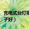 充电式台灯哪个牌子质量好（充电台灯哪个牌子好）
