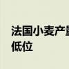 法国小麦产量跌至4年新低 全球库存或创9年低位