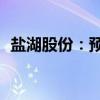 盐湖股份：预计上半年净利17亿元-23亿元