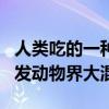 人类吃的一种东西让公鱼变性、鸟类灭绝：引发动物界大混乱